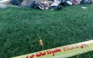 کشف جسد تکه تکه شده زن جوان داخل چند پلاستیک زباله در میدان آزادی تهران