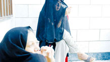 در تکاپوی زندگی
